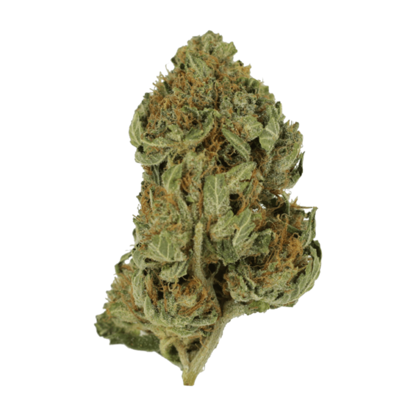 Bubblegum – 1 ounce | Canada Wide Weed Shop