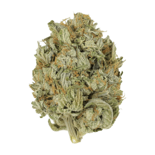 Blue Dream (Popcorn) | Canada Wide Weed Shop