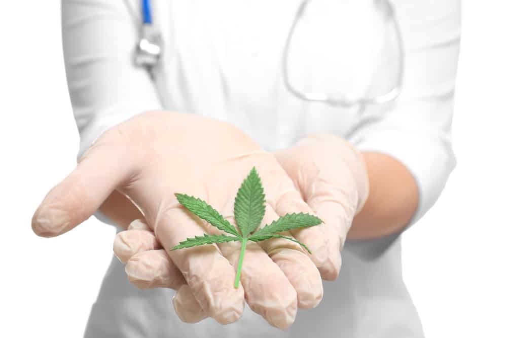 Cannabis as a natural cure for pain | Canada Wide Weed Shop