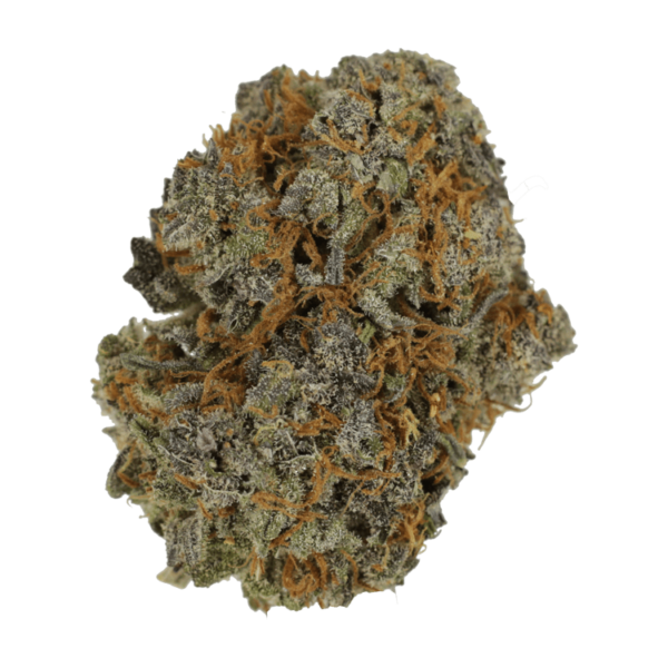 Jack Herer 1 Ounce | Canada Wide Weed Shop