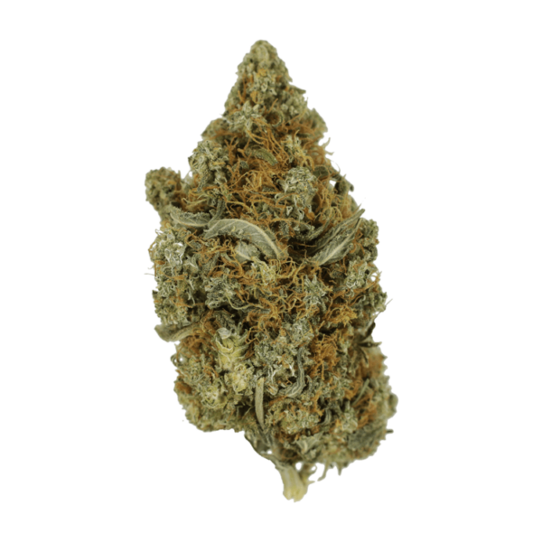 Jack Herer 1 Ounce | Canada Wide Weed Shop