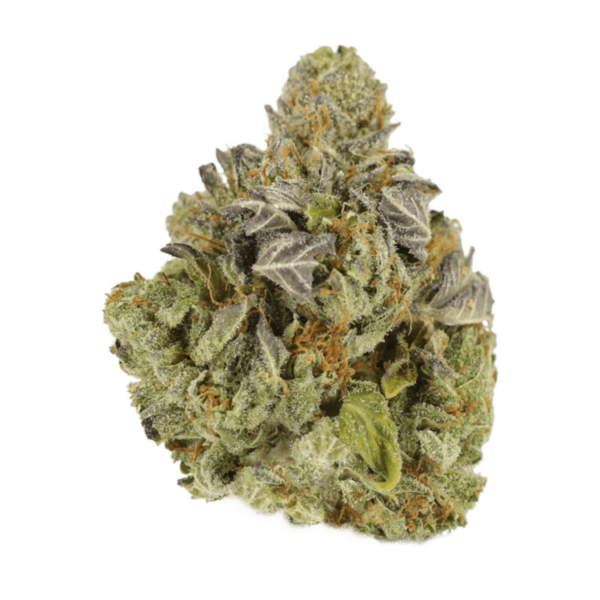 Jet Fuel | Canada Wide Weed Shop