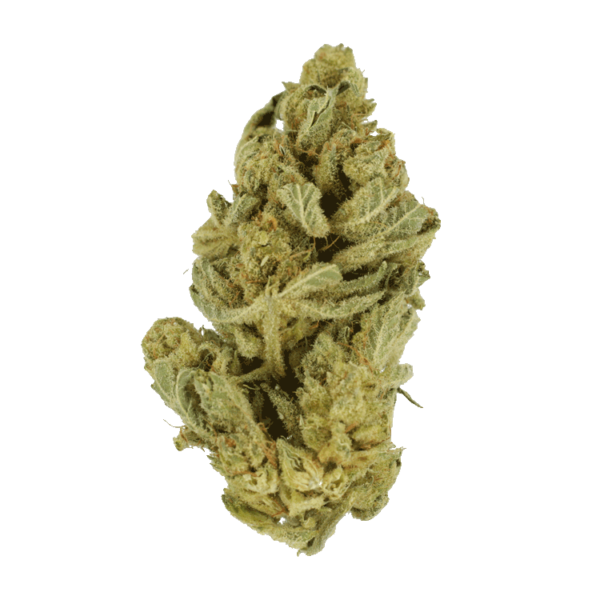 Hindu Kush – 7g | Canada Wide Weed Shop