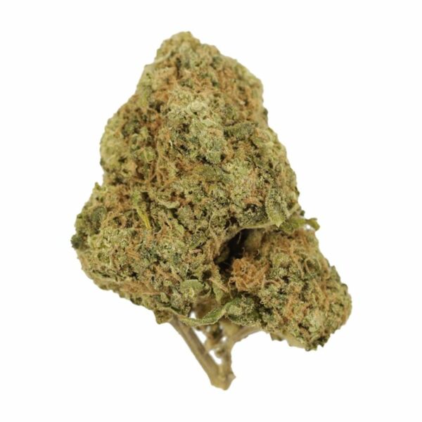 Tangerine Dream | Canada Wide Weed Shop