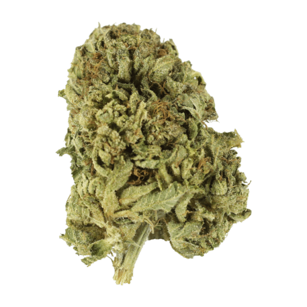 Sour Diesel | Canada Wide Weed Shop