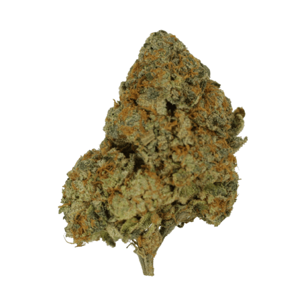 9lb Hammer | Canada Wide Weed Shop