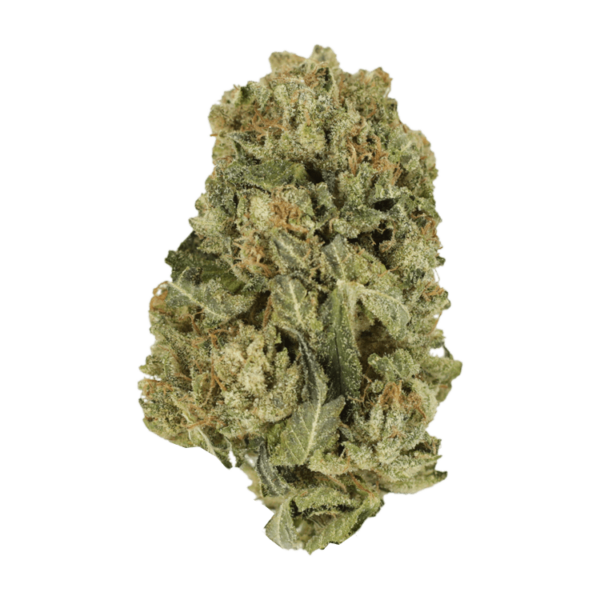 Black Domina | Canada Wide Weed Shop