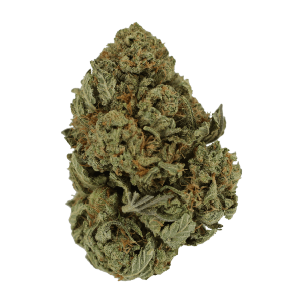 Master Kush Ultra | Canada Wide Weed Shop