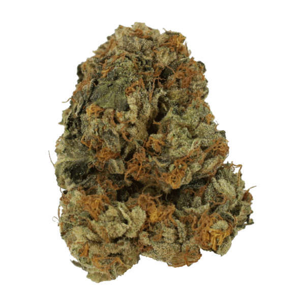 Dolato – 1OZ | Canada Wide Weed Shop