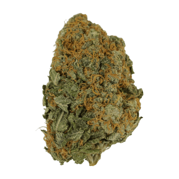 Master Kush Ultra | Canada Wide Weed Shop