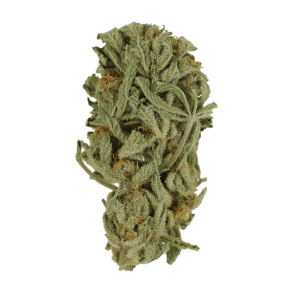 Master Kush Ultra | Canada Wide Weed Shop