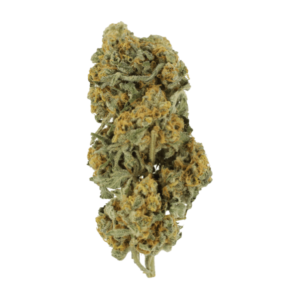 Miracle Alien Cookies | Canada Wide Weed Shop