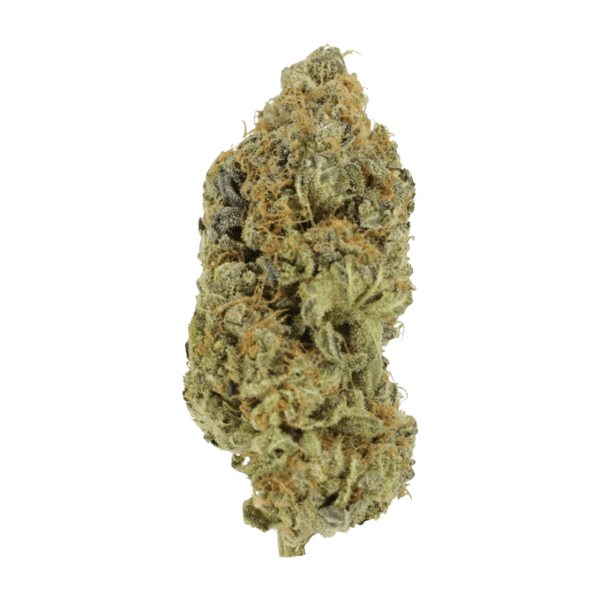 Critical Widow | Canada Wide Weed Shop