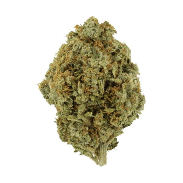 Orange Barb | Canada Wide Weed Shop