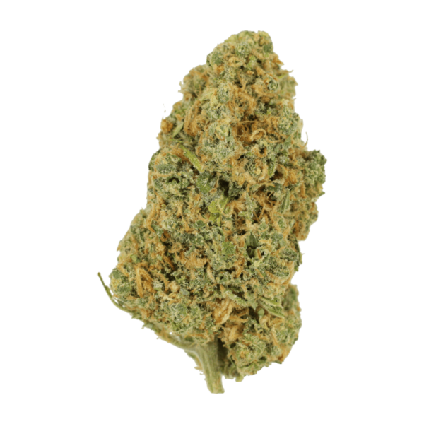 Lemon Bomb | Canada Wide Weed Shop