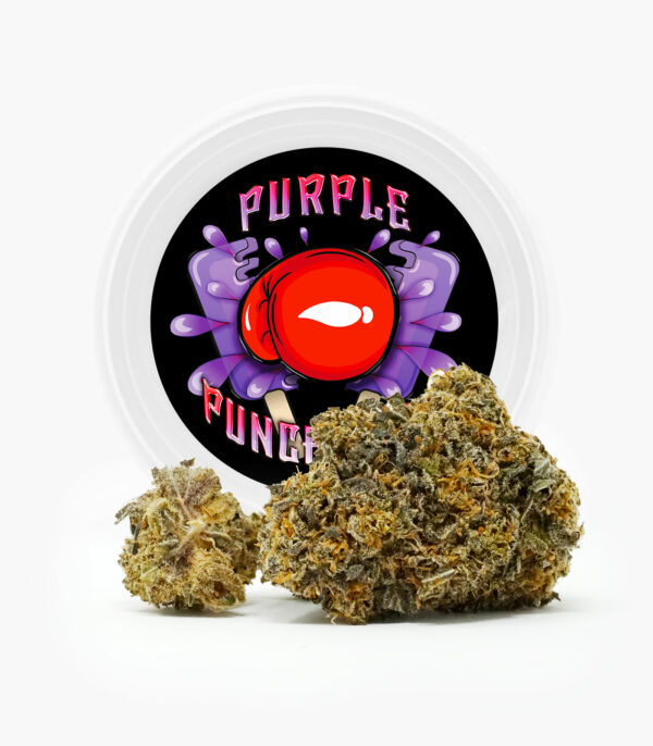 Westcoast Cali Tins – Premium Flower – Purple Punchsicle – 14g | Canada Wide Weed Shop