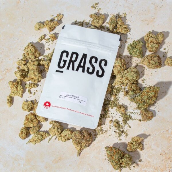 1/2OZ Sample Pack (AAA) – SAVE 20% | Canada Wide Weed Shop