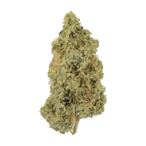 Tropicana Cookies | Canada Wide Weed Shop