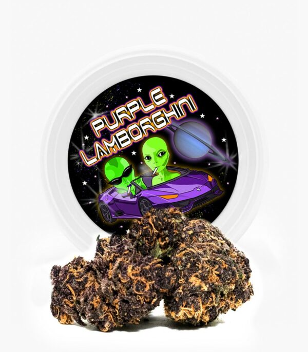 Westcoast Cali Tins – Premium Flower – Purple Lamborghini – 3.5g | Canada Wide Weed Shop