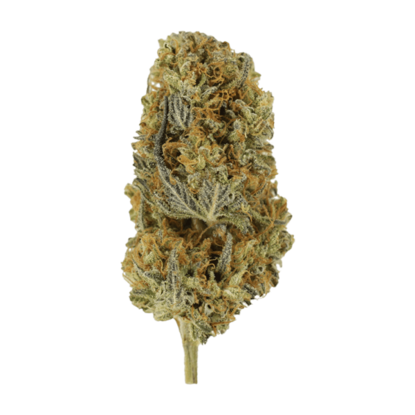 Headband | Canada Wide Weed Shop