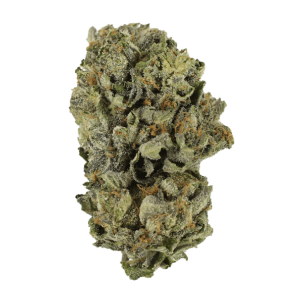 Cerebro Haze | Canada Wide Weed Shop