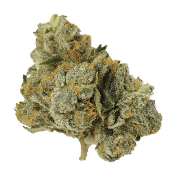 Mango Cream | Canada Wide Weed Shop