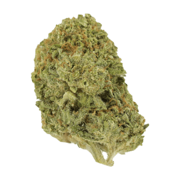 Mango Cream | Canada Wide Weed Shop