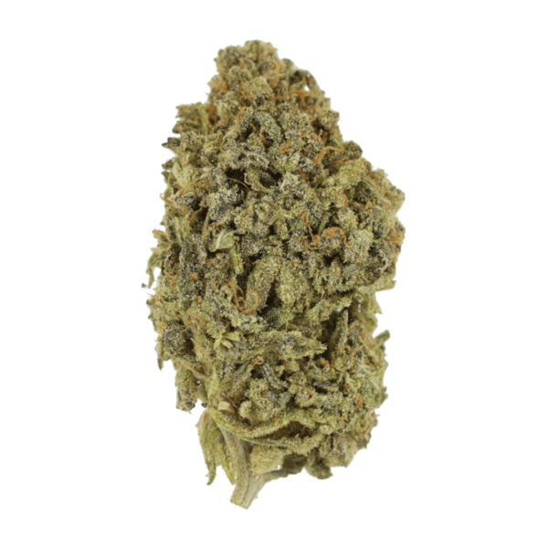 Watermelon Gelato | Canada Wide Weed Shop