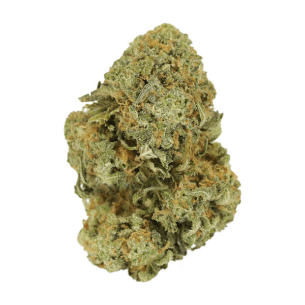 Watermelon Gelato | Canada Wide Weed Shop