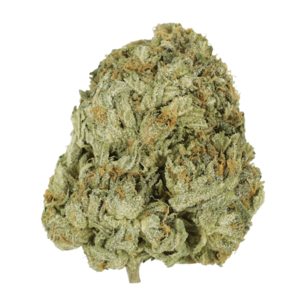 Godzilla Glue | Canada Wide Weed Shop