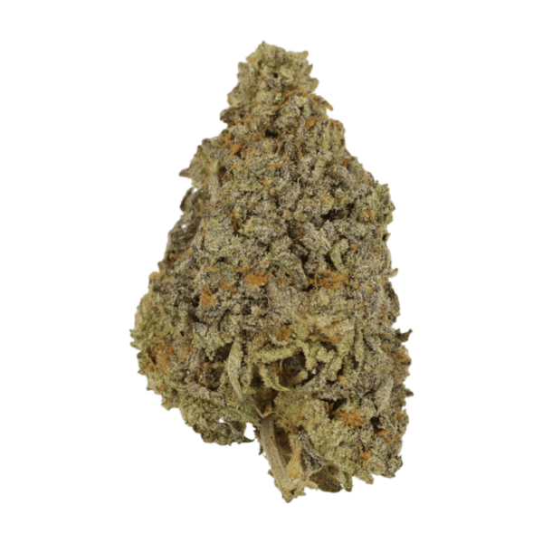 Frosty Gelato | Canada Wide Weed Shop