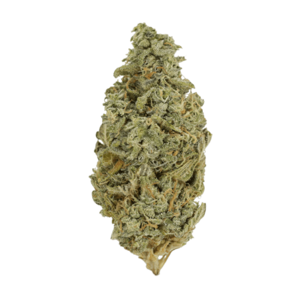 Orange Cookies | Canada Wide Weed Shop