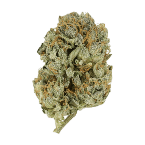 Kashmir Kush | Canada Wide Weed Shop