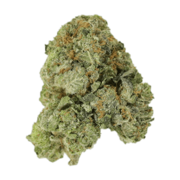 White Russian | Canada Wide Weed Shop