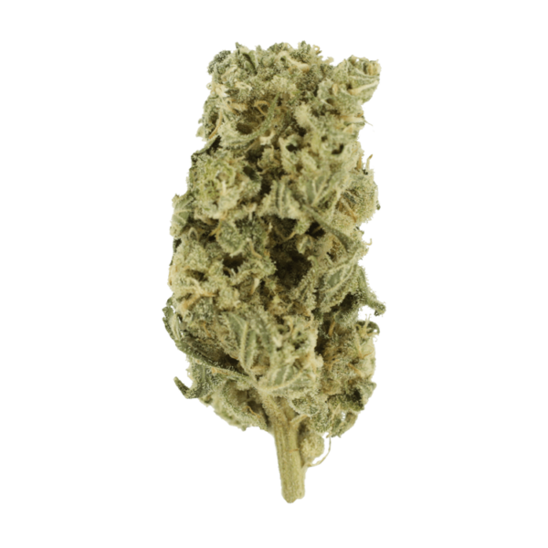 Champagne Kush | Canada Wide Weed Shop