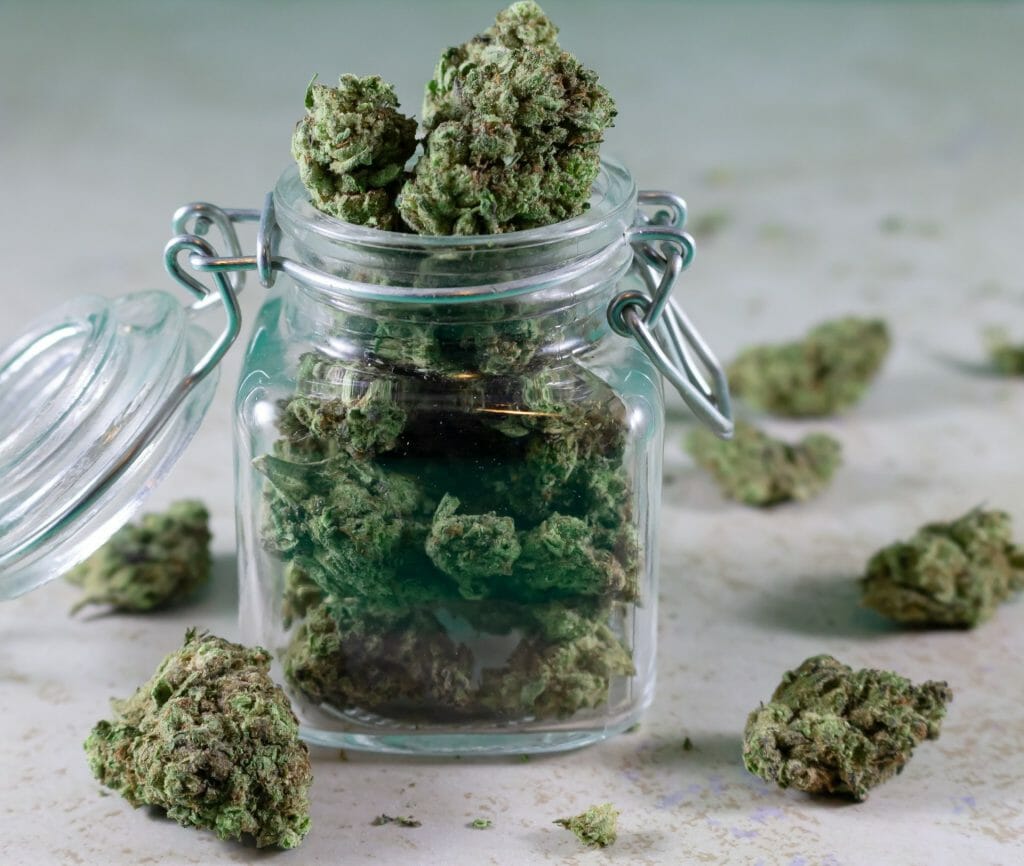 Bulk Weed: Unlocking the Power of Wholesale Cannabis | Canada Wide Weed Shop | Canada Wide Weed Shop